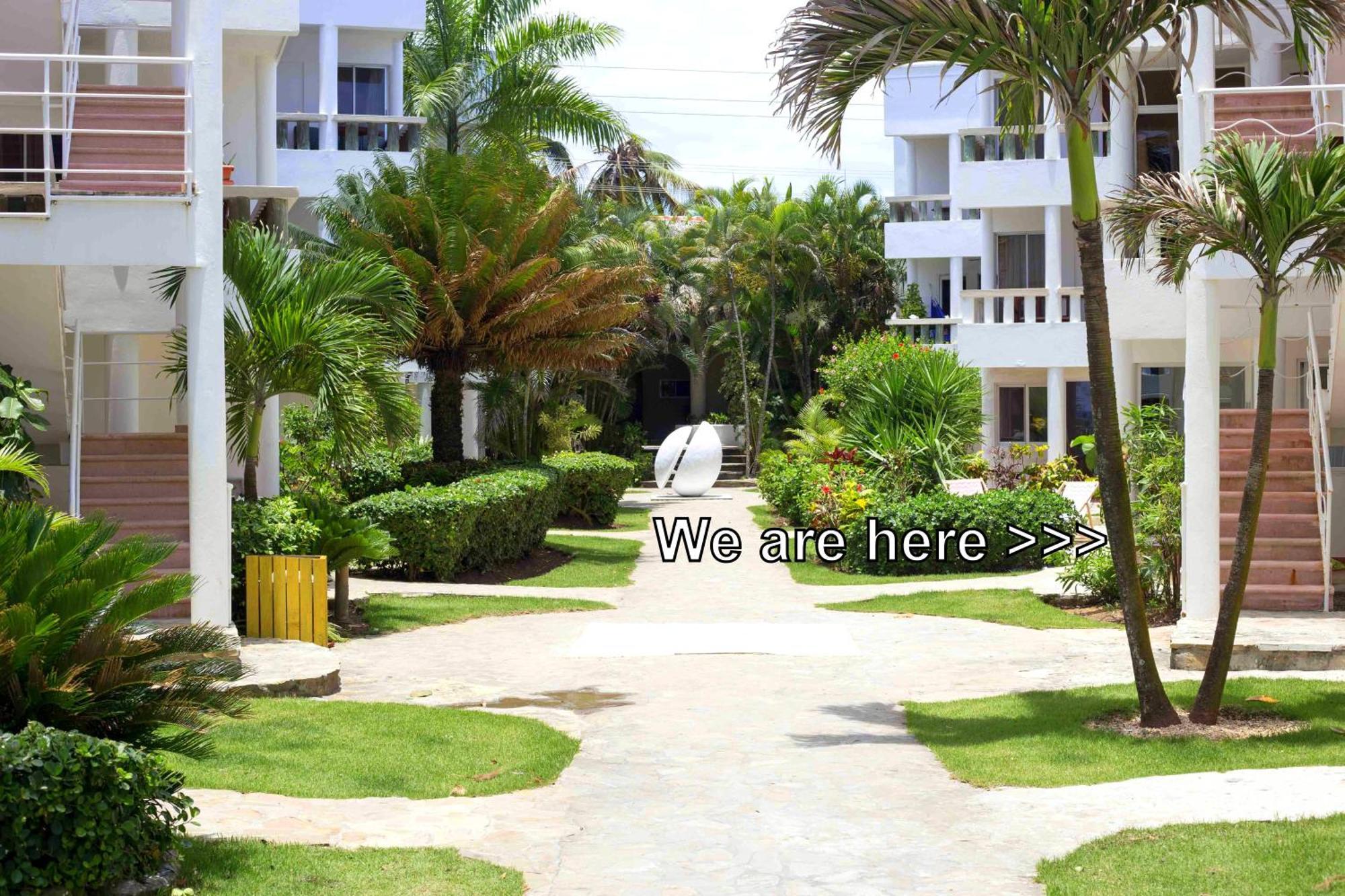 Condo Cabrinha - Direct On Kite Beach Cabarete ห้อง รูปภาพ