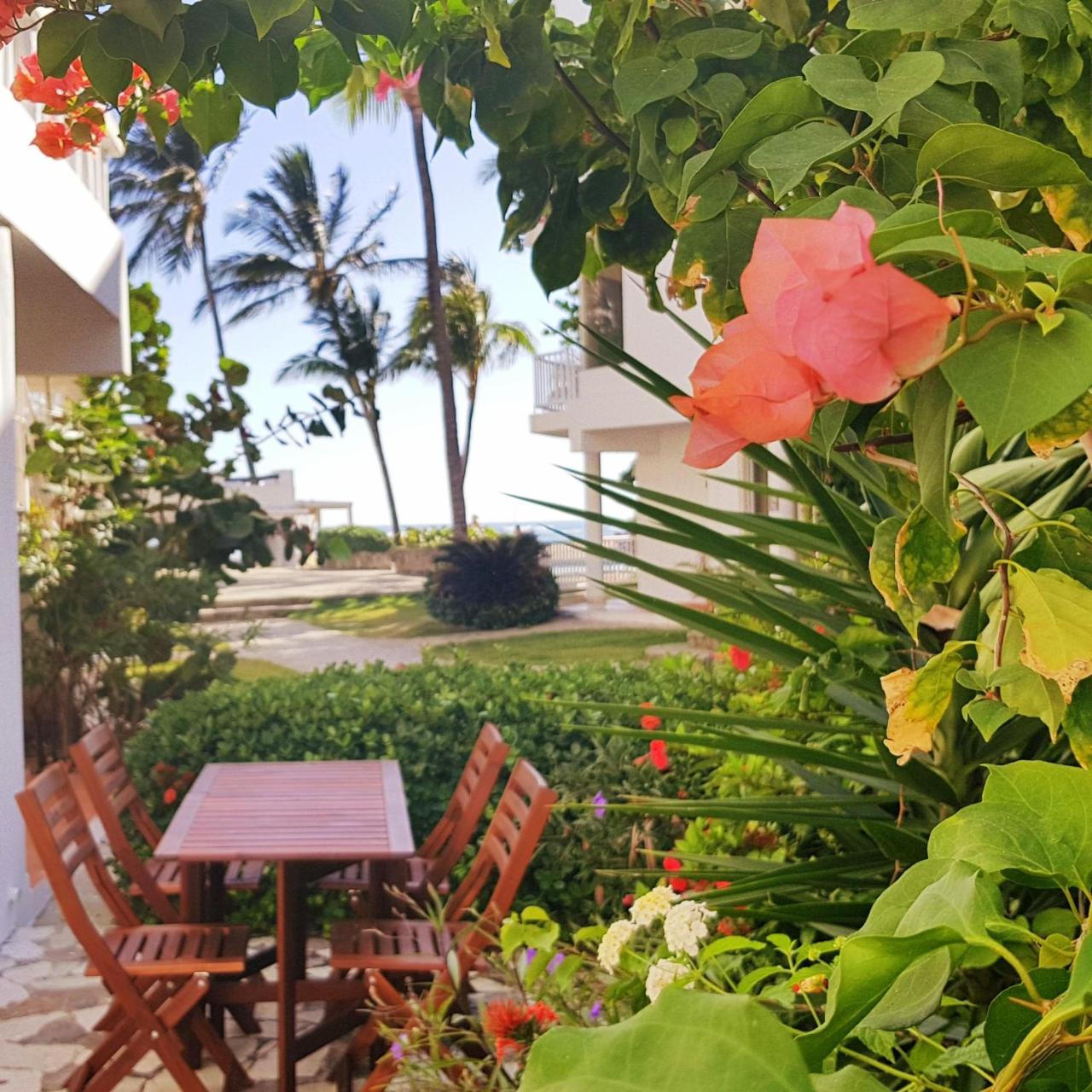 Condo Cabrinha - Direct On Kite Beach Cabarete ภายนอก รูปภาพ